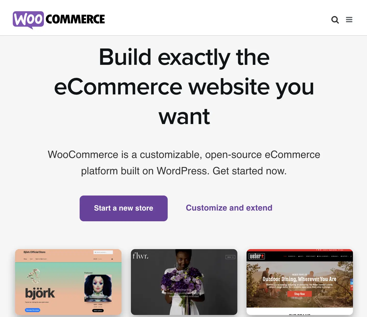 woocommerce